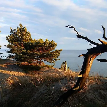 Przyczepy - Osrodek Na Klifie Village - Helska 11 헬