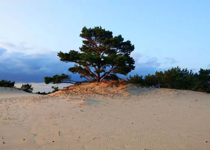 Przyczepy - Osrodek Na Klifie Village - Helska 11 Campingplatz