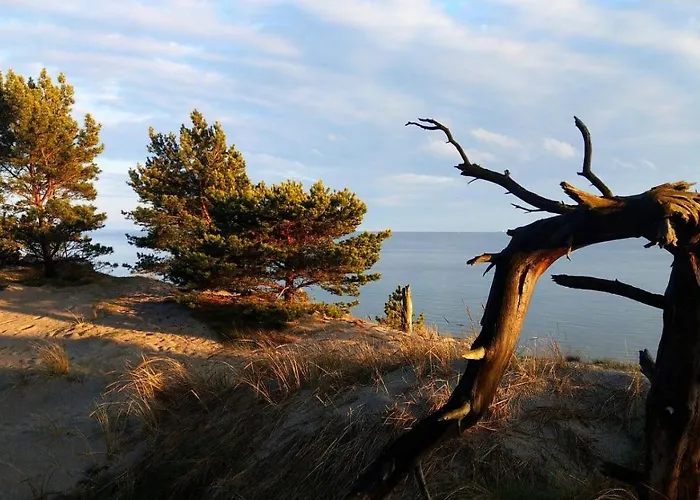 Przyczepy - Osrodek Na Klifie Village - Helska 11 Hel