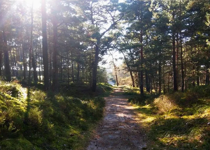 Przyczepy - Osrodek Na Klifie Village - Helska 11 Campingplatz Hel
